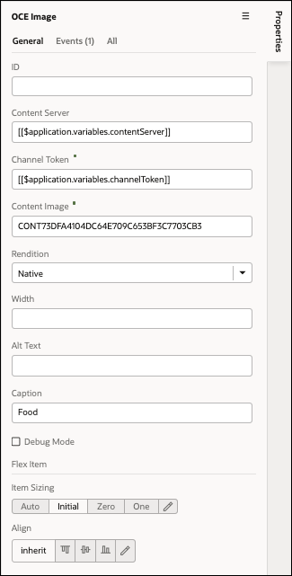 This image shows the OCE Image properties panel.