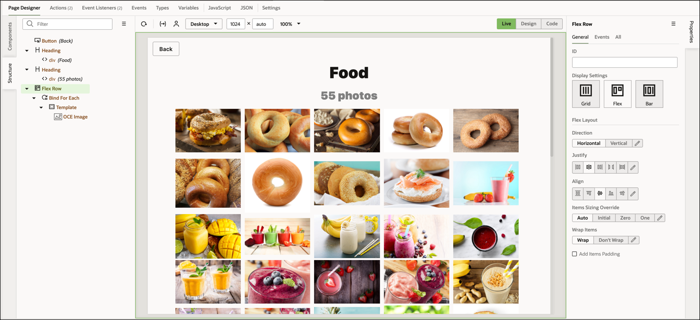 This image shows the application in Page Designer.