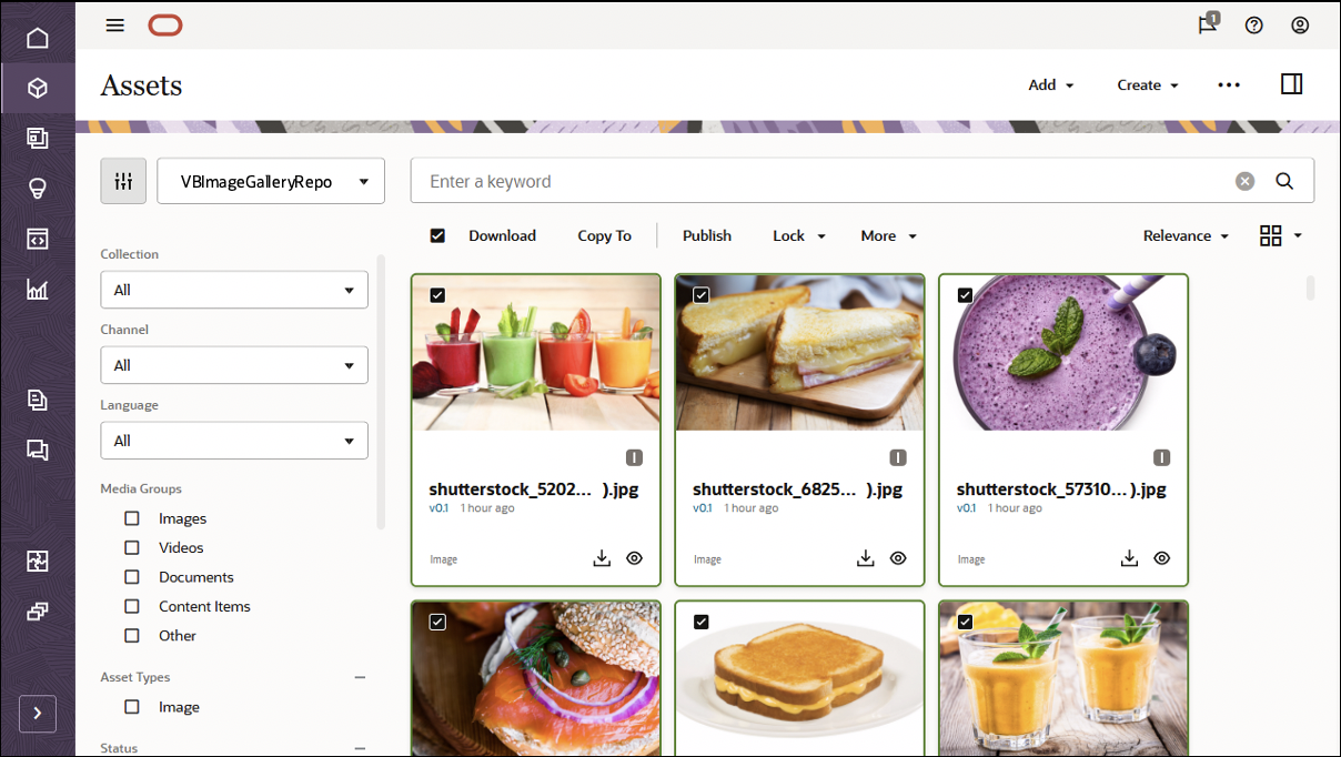 This image shows the VBImageGalleryRepository repository, with all assets selected and the Publish option in the action bar visible.