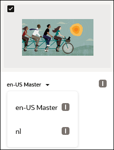 Select specific language version for multilingual email.
