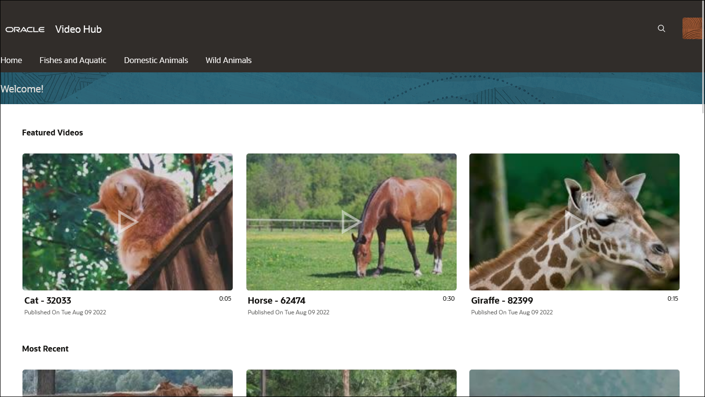 Video Hub app for Oracle Content Management.