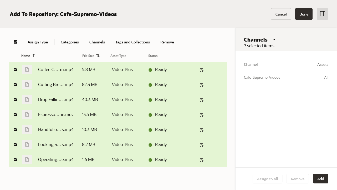 Uploading new videos as Video Plus assets with assigned publishing channel.