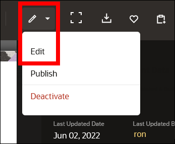 This image shows an asset in the asset viewer, with the edit option highlighted.