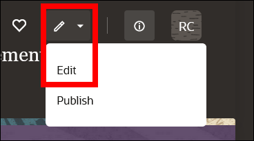 This image shows an asset in the page previewer, with the edit option highlighted.
