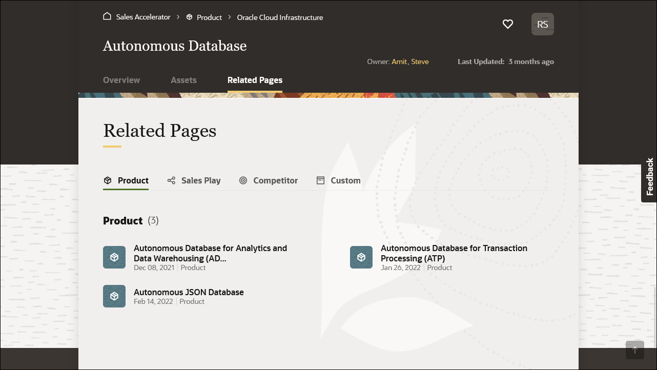 This image shows an example of related content on a product page in Oracle Sales Accelerator.