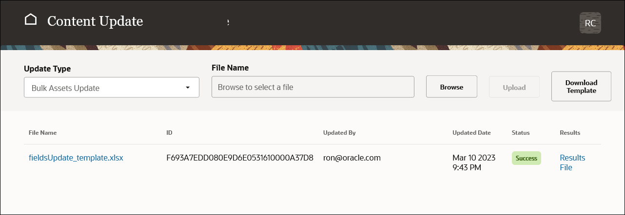 This image shows the Content Update page after the spreadsheet has been processed.
