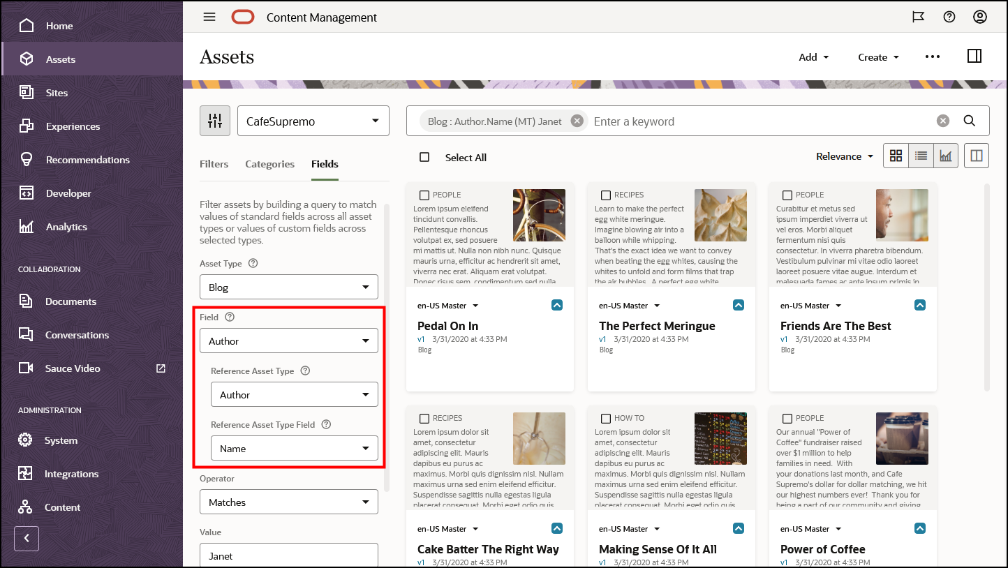 リンクされたトピックで説明されている参照アセット・オプションを示すフィールド・タブ