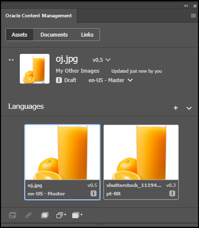 リンクされたトピックで説明されている言語パネル
