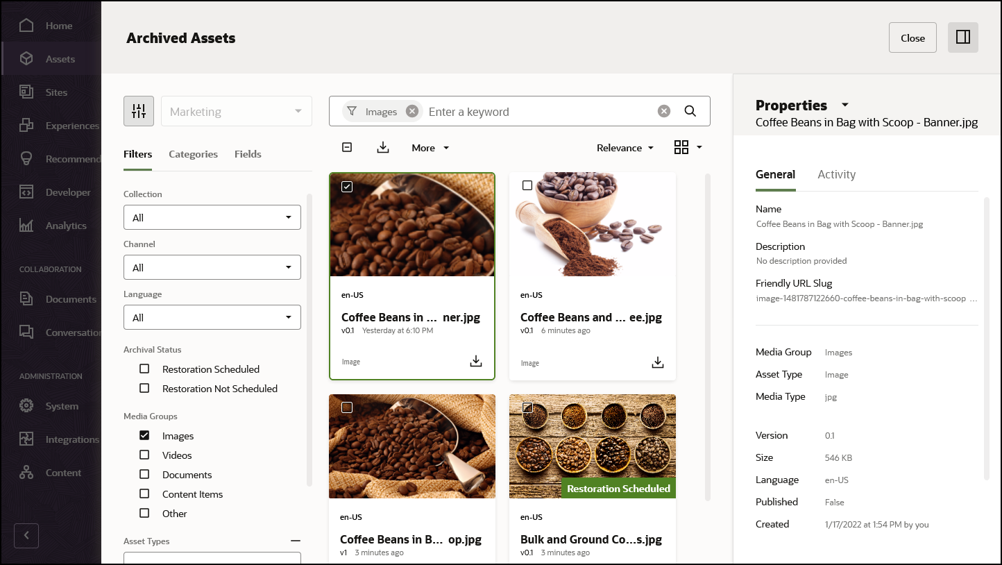 リンクされたトピックで説明されている「アーカイブ済アセット」ページ
