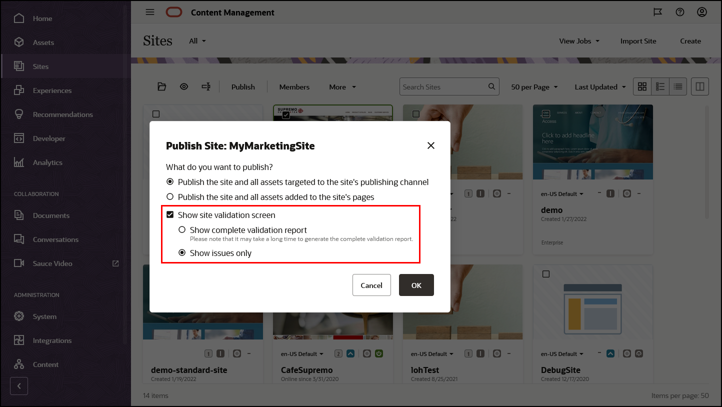 サイト公開検証レポート・オプション(リンク・トピックを参照)