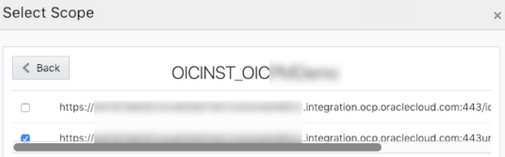 選択したリソース(アプリケーション)が表示される「スコープの選択」ページ。 リソースのスコープを選択できる表が表示されます。 