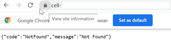 URLフィールドの右側にあるロック・アイコンが選択されています。 次に、GoogleのChromeラベルとデフォルトとして設定ボタンを示します。 その下にコードが見つかりません。 