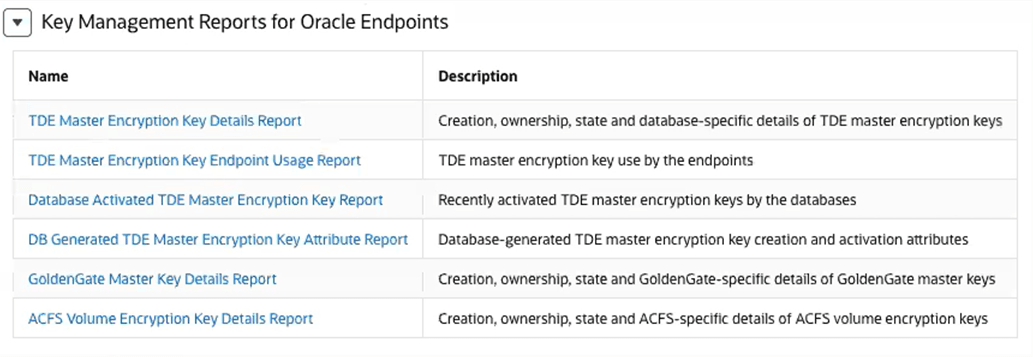 2111_key_management_oracle_endpoint_report.pngの説明が続きます