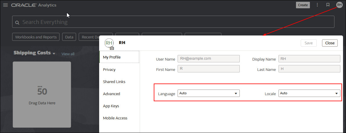 データ・ビジュアライゼーション・ページの言語の選択