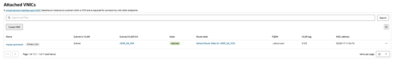 Attached VNICs Attached VNICs