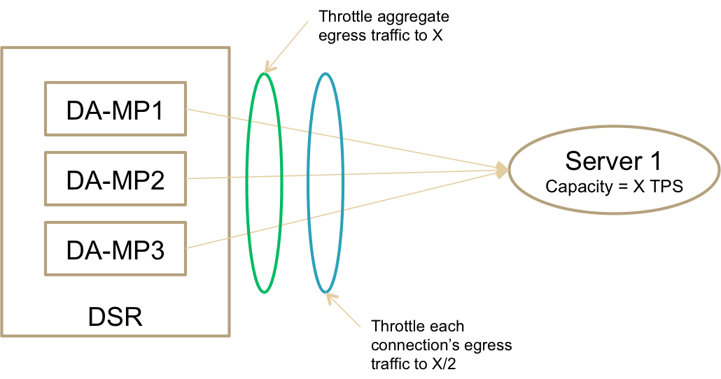 DSR Aggregate and Per-Connection Egress Throttling