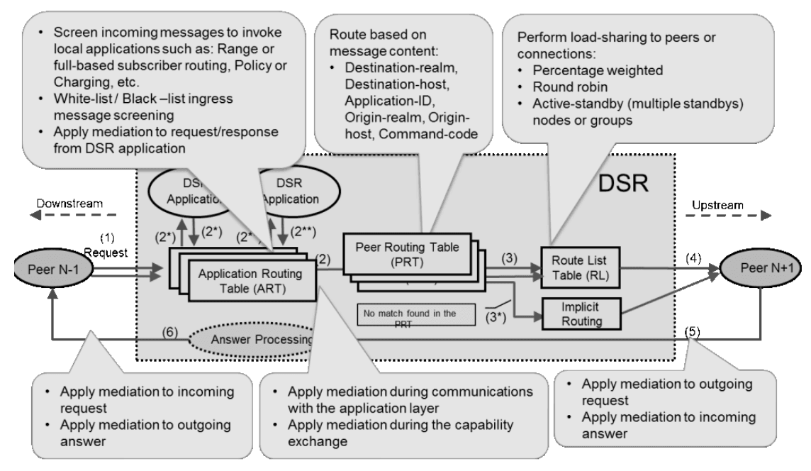High Level Message Processing and Routing in DSR