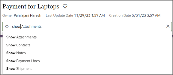 このスクリーンショットは、自動的に生成されるShow処理を示しています。