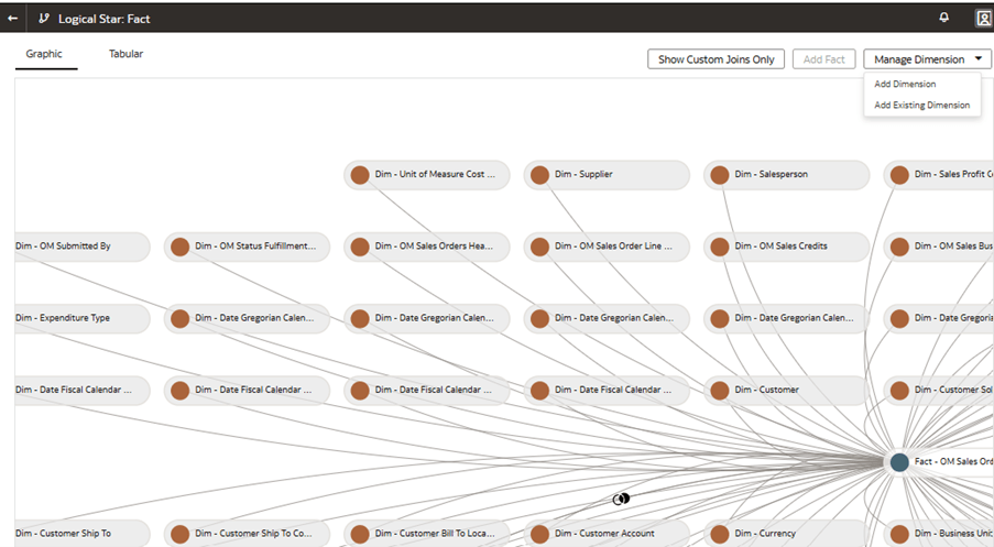 論理スター: 「ディメンションの管理」値リストが表示されたファクト・ページ 論理スター: 「ディメンションの管理」値リストが表示されたファクト・ページ