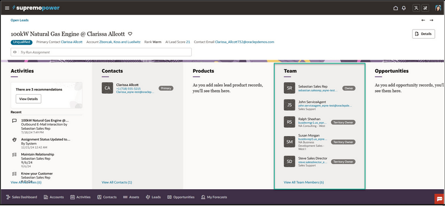 「チーム」折りたたみパネルから「すべてのチームの表示」をクリックしたときの、リードの「チーム」詳細ページのサンプル・スクリーンショット。