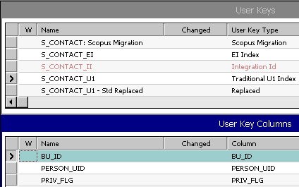 User Key Columns for the S_CONTACT_U1 User Key. This image is described in surrounding text.