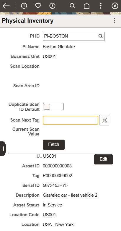 Physical Inventory page - detail