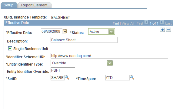XBRL Instance Template - Setup page