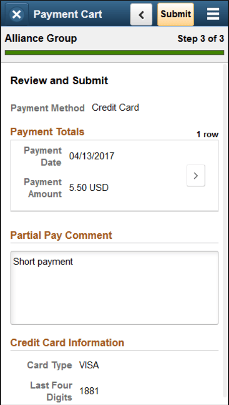 Step 3 of 3: Review and Submit a credit card payment (SFF)