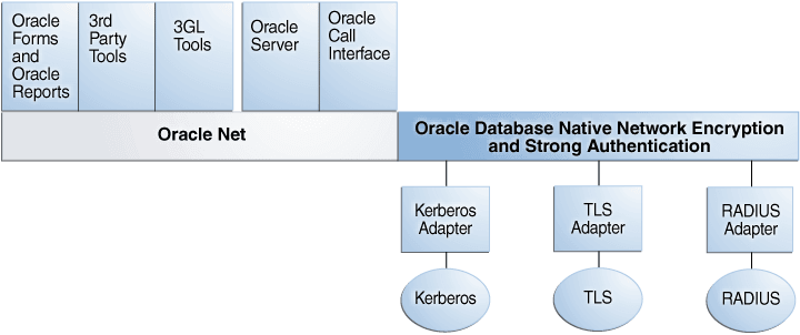 図21-1の説明が続きます