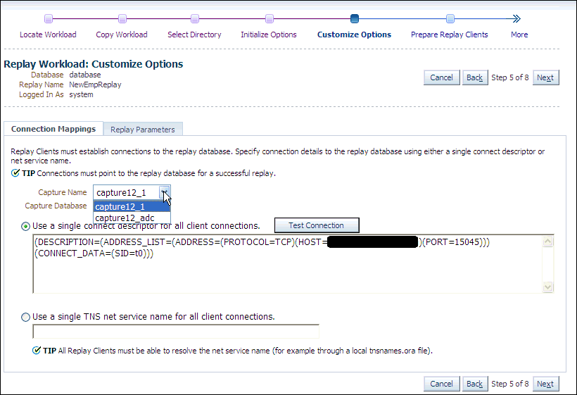 dbr_replay_cust_options.gifの説明が続きます。