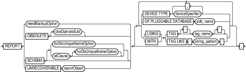 report.epsの説明が続きます