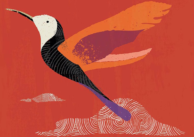 bird.jpgの説明が続きます