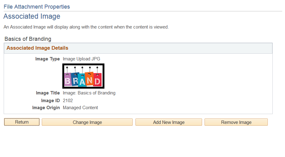 <><Content Type> Properties Associated Image Page