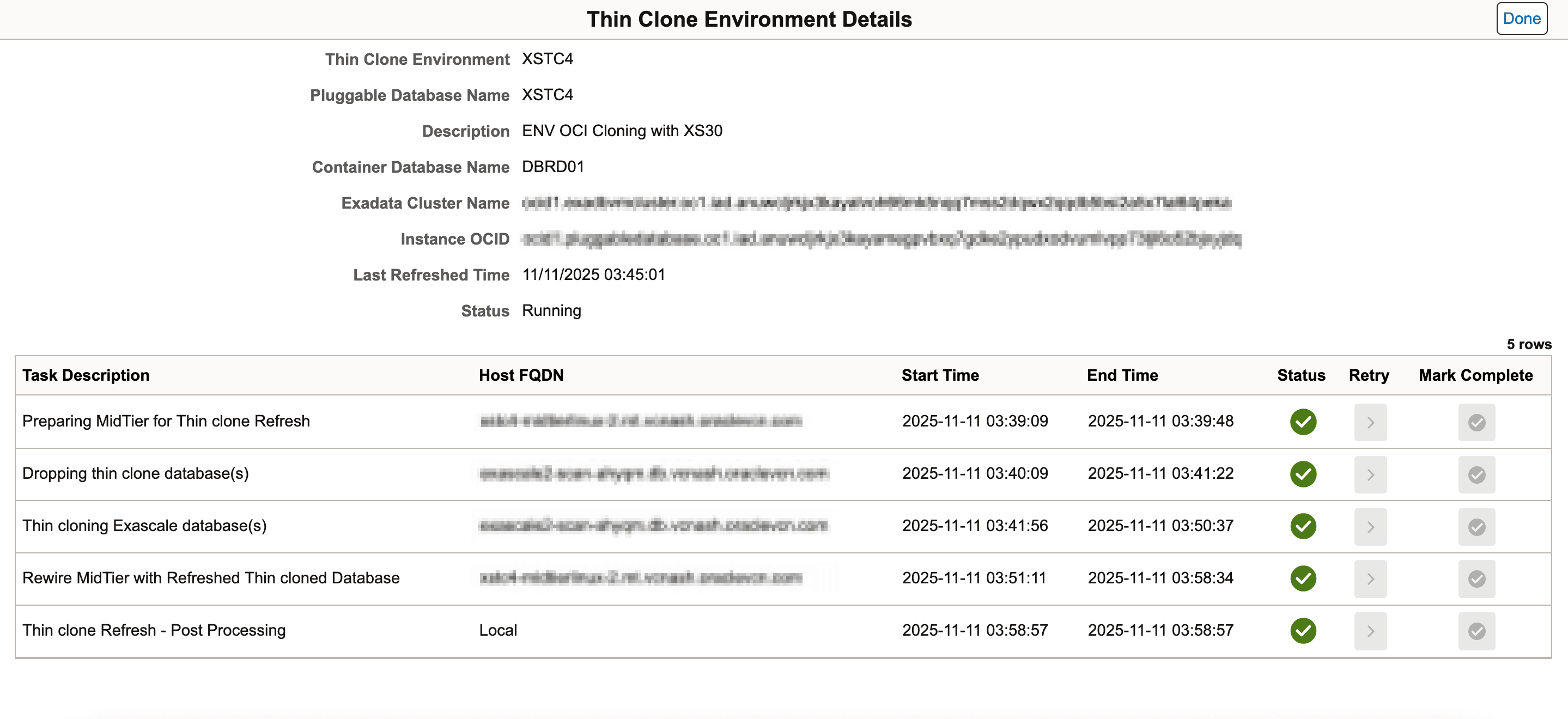 Thin Clone Environment Details page
