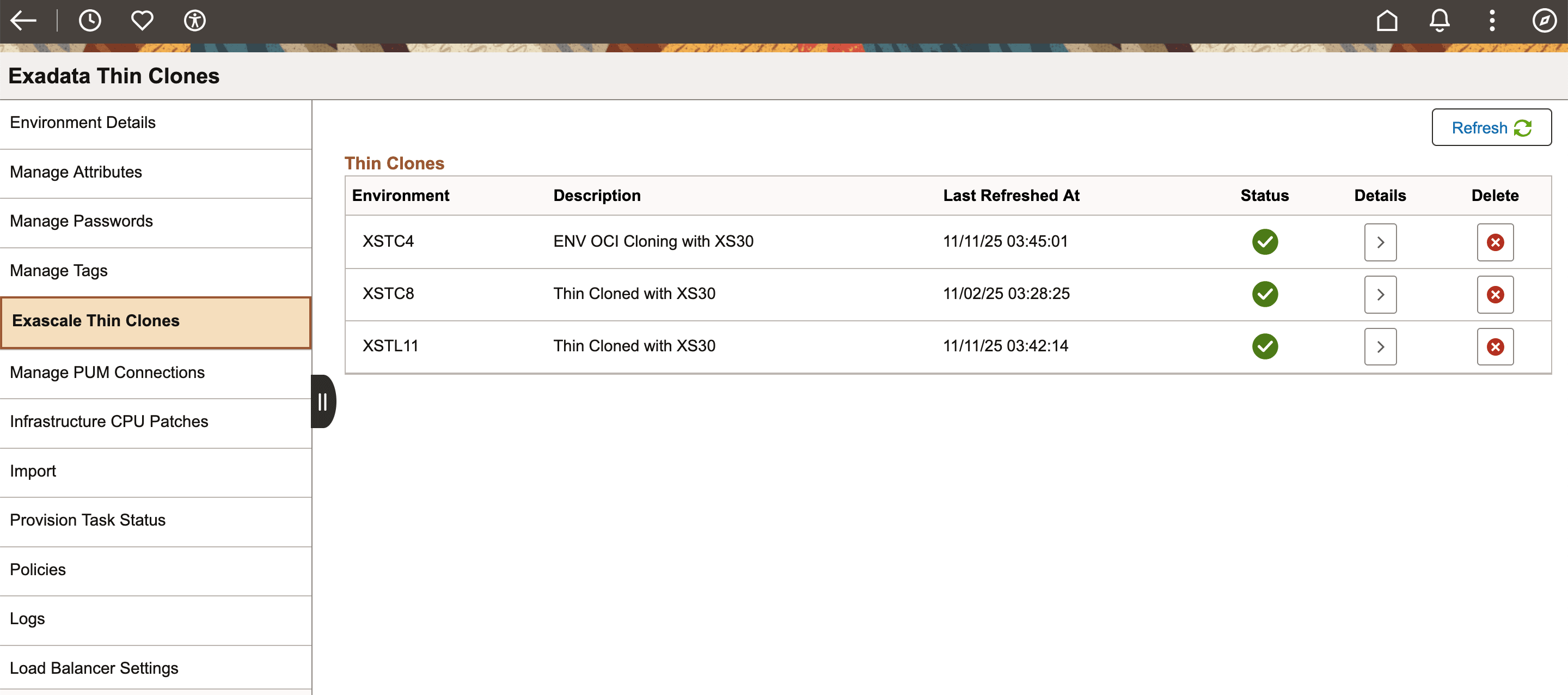 Exascale Thin Clones page