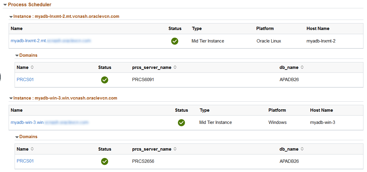 Environment Details showing Process Scheduler section for a Windows instance