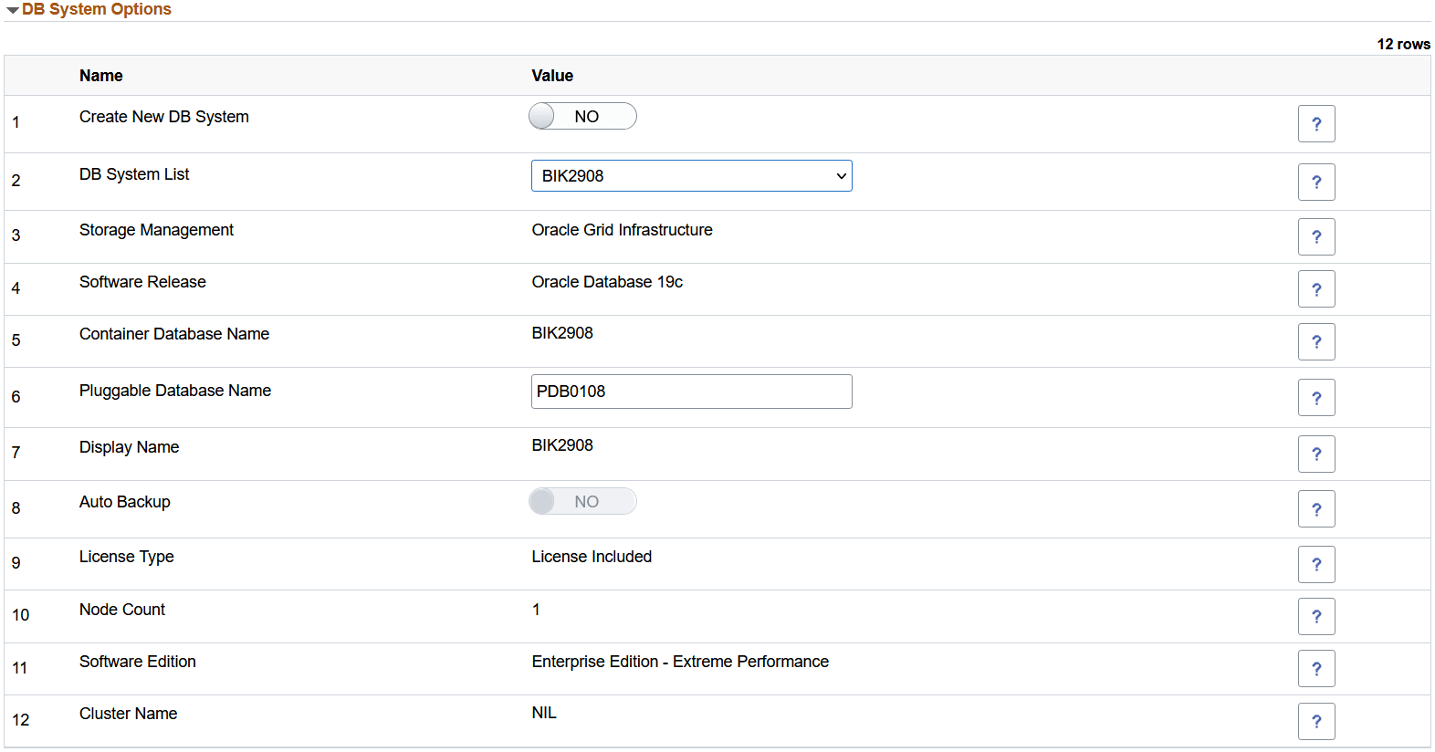 DB System Options section for VM