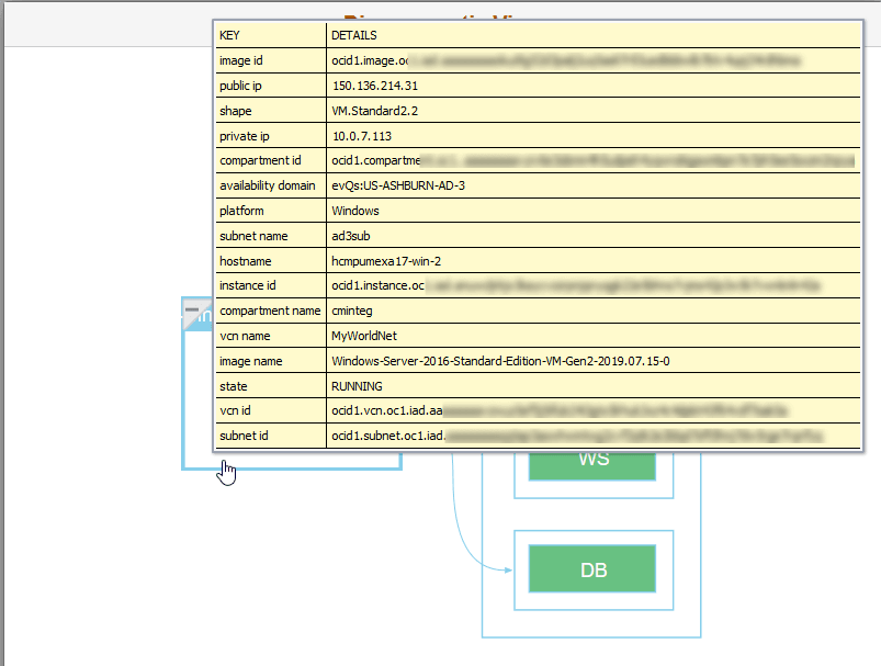 Diagrammatic View Instance Details