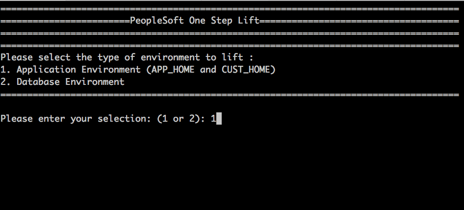 Application Environment Lift prompt