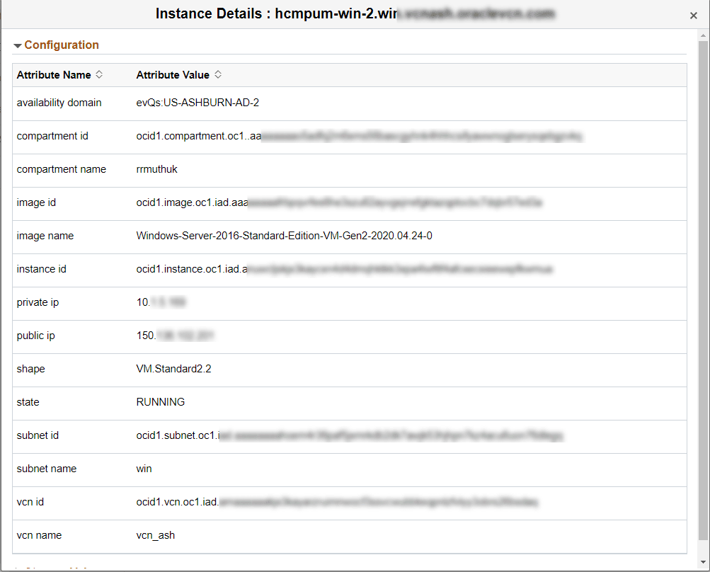 Instance Details Modal Window