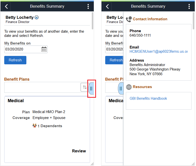 SFF_Benefits Summary