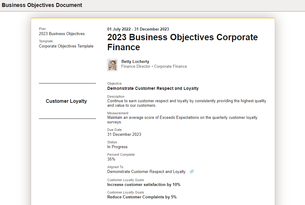 Business Objectives Document page (Preview or View)