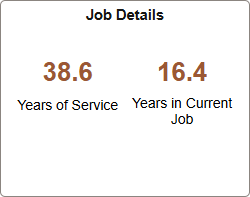 Job Details (Summary) Tile