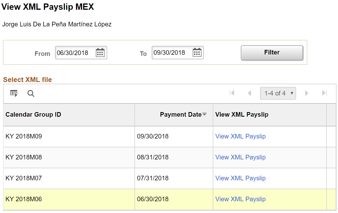 View XML Payslip MEX Page
