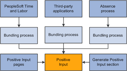 Sources of positive input and bundling