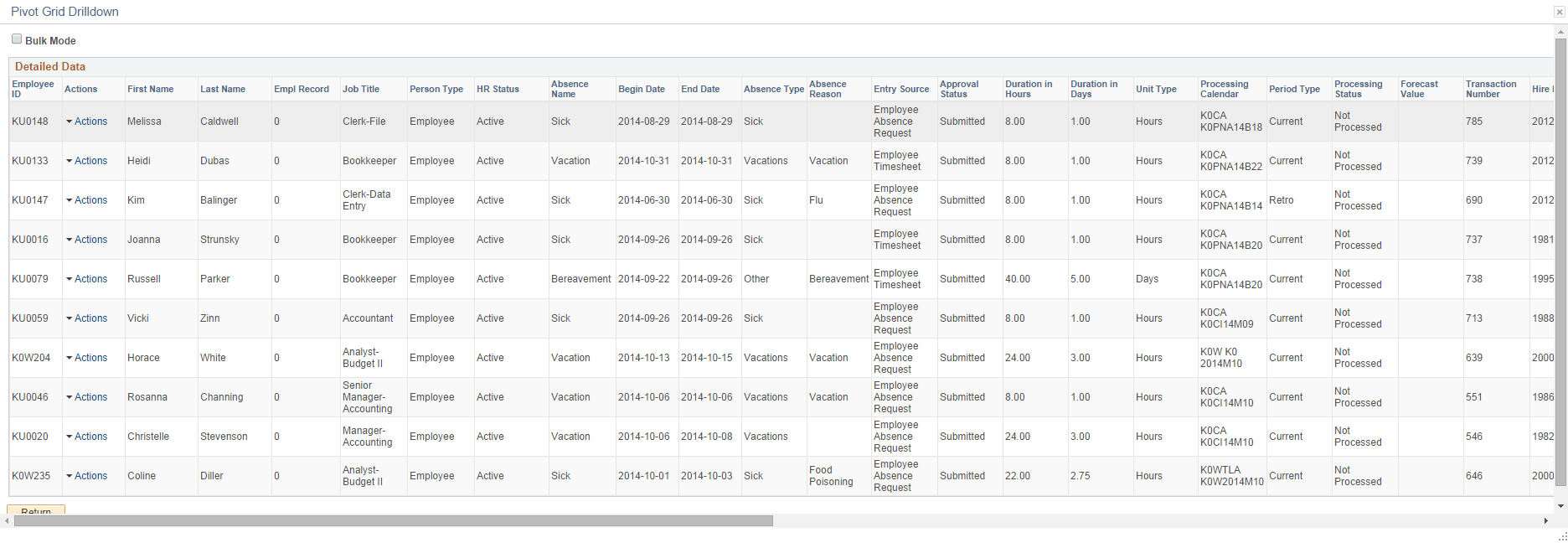 Pivot Grid Drilldown page