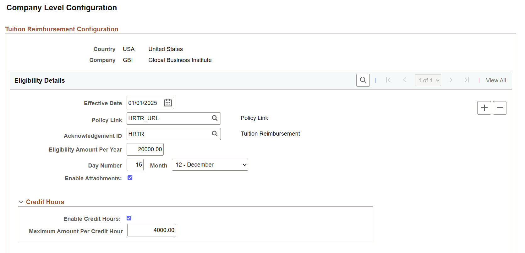 Company Level Configuration page (1 of 3)