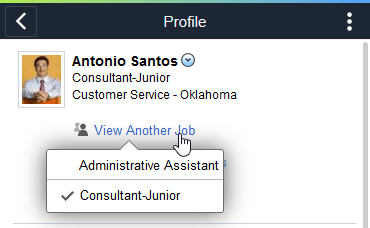 (Smartphone) Profile Page Header for a Person with Multiple Jobs