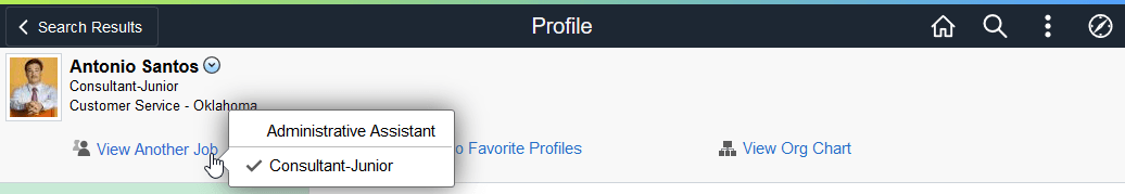 (Tablet) Profile Page Header for a Person with Multiple Jobs