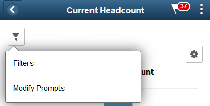 (Smartphone) Filters and Prompts Menu Options